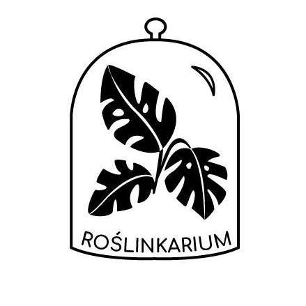 Partner: Sklep Roślinkarium - rośliny doniczkowe, Adres: Sienkiewicza 7,  90-057 Łódź